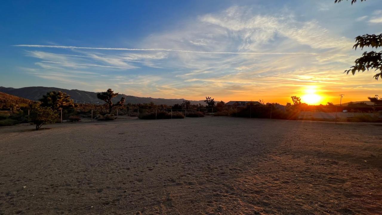 Peaceful Home With Nature Views & Trail Access Yucca Valley Eksteriør bilde