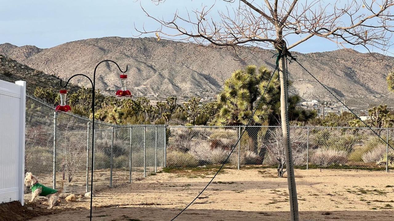 Peaceful Home With Nature Views & Trail Access Yucca Valley Eksteriør bilde