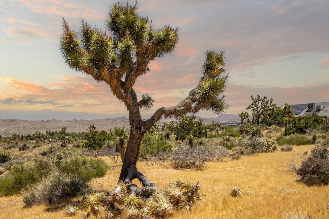 Peaceful Home With Nature Views & Trail Access Yucca Valley Eksteriør bilde